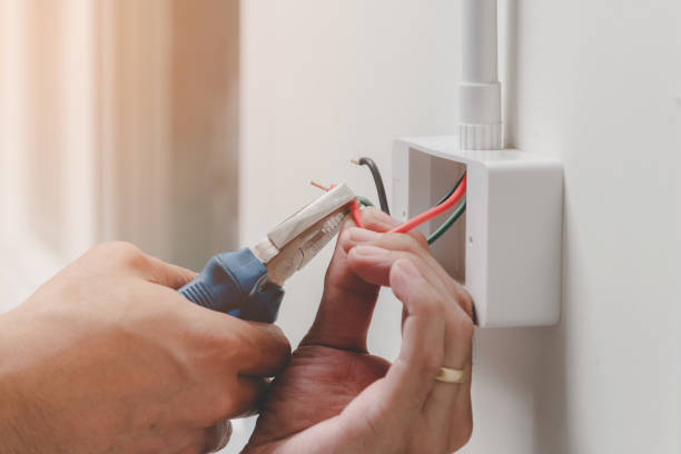 Best Electrical Panel Upgrades  in Monticello, AR